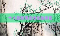 十大最耐用雪地轮胎排名
