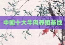 中国十大牛肉养殖基地