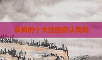 养狗的十大理由你认同吗