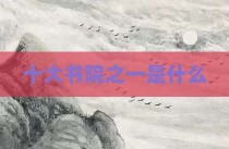 十大书院之一是什么