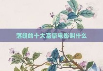 落魄的十大富豪电影叫什么