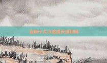豆瓣十大小组组长盈利吗