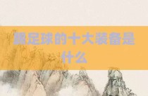 踢足球的十大装备是什么