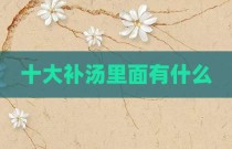 十大补汤里面有什么