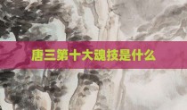 唐三第十大魂技是什么