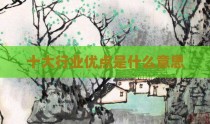 十大行业优点是什么意思