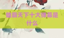雄霸天下十大弹幕是什么
