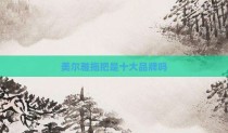 美尔雅拖把是十大品牌吗