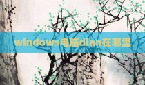 windows电脑dlan在哪里