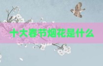 十大春节烟花是什么