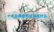十大扑救世界纪录是什么