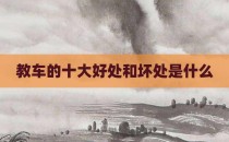 教车的十大好处和坏处是什么