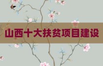 山西十大扶贫项目建设