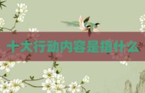 十大行动内容是指什么