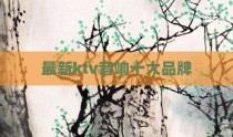 最新ktv音响十大品牌