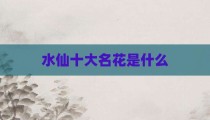 水仙十大名花是什么