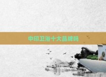 中印卫浴十大品牌吗