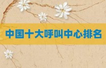 中国十大呼叫中心排名