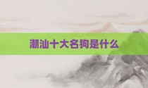 潮汕十大名狗是什么