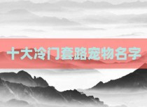 十大冷门套路宠物名字