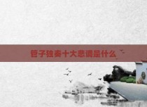 管子独奏十大悲调是什么