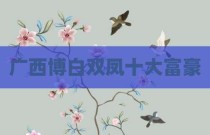 广西博白双凤十大富豪