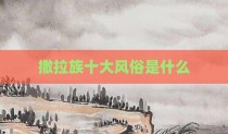 撒拉族十大风俗是什么