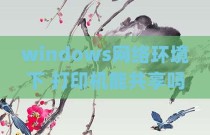 windows网络环境下 打印机能共享吗