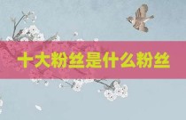 十大粉丝是什么粉丝