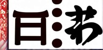 汉语十大缺点是什么意思