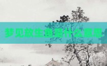 梦见放生鱼是什么意思