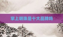 掌上明珠是十大品牌吗
