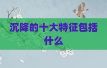 沉降的十大特征包括什么