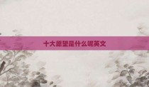 十大愿望是什么呢英文