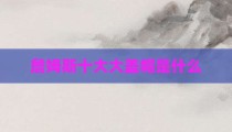 詹姆斯十大大盖帽是什么