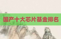 国产十大芯片基金排名