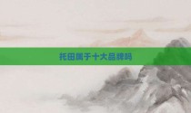 托田属于十大品牌吗