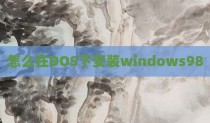 怎么在DOS下安装windows98
