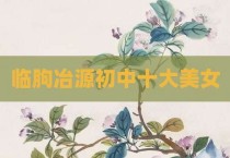 临朐冶源初中十大美女