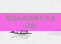 骆驼风风扇是十大名牌吗