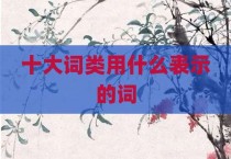 十大词类用什么表示的词
