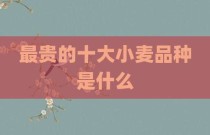 最贵的十大小麦品种是什么