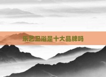 乐艺卫浴是十大品牌吗