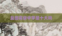 盐田高级中学是十大吗