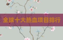 全球十大热血项目排行