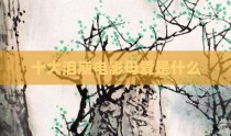 十大泪崩电影母爱是什么