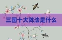 三国十大阵法是什么