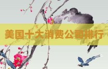 美国十大消费公司排行