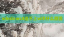 windows8连不上wifi什么原因