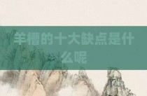 羊槽的十大缺点是什么呢